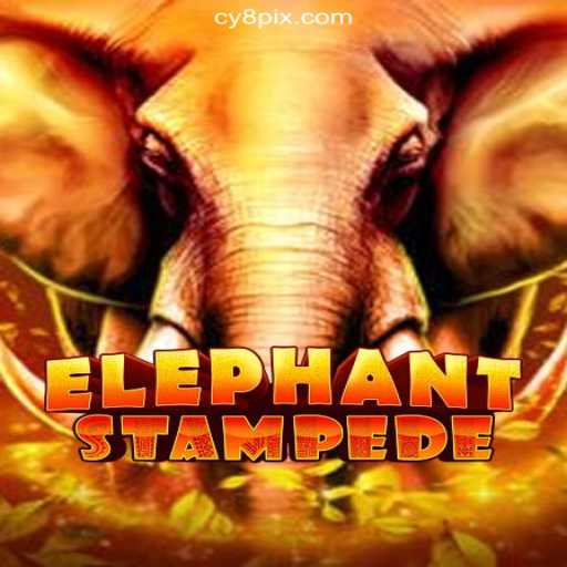 ElephantStampede Takes the Spotlight on CY8.COM's Leading Platform in Brazil